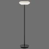Lampadaire Paul Neuhaus Q-Etienne Led Noir, 1 Lumiere, Telecommandes