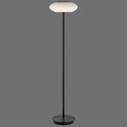 Lampadaire Paul Neuhaus Q-Etienne Led Noir, 1 Lumiere, Telecommandes