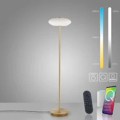 Lampadaire Paul Neuhaus Q-Etienne Led Laiton, 1 Lumiere, Telecommandes