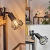 Lampe A Clipper Baripada Noir, 1 Lumiere