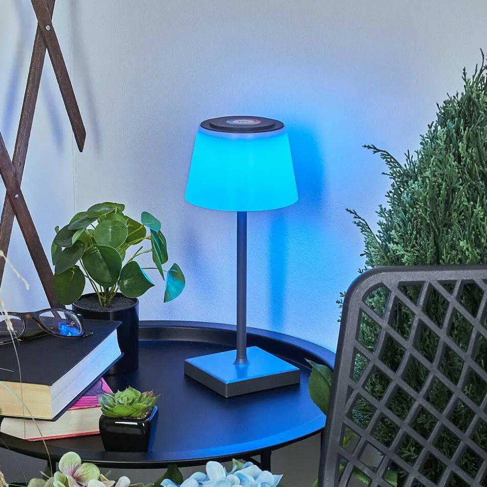 Lampe A Poser Burzaco Led Anthracite, 1 Lumiere, Changeur De Couleurs