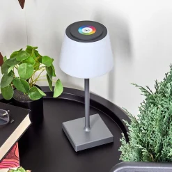 Lampe A Poser Burzaco Led Anthracite, 1 Lumiere, Changeur De Couleurs