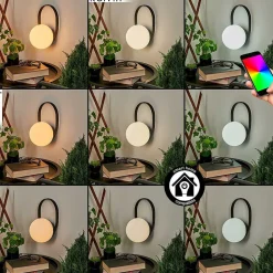 Lampe A Poser Fair Led Noir, 1 Lumiere, Changeur De Couleurs