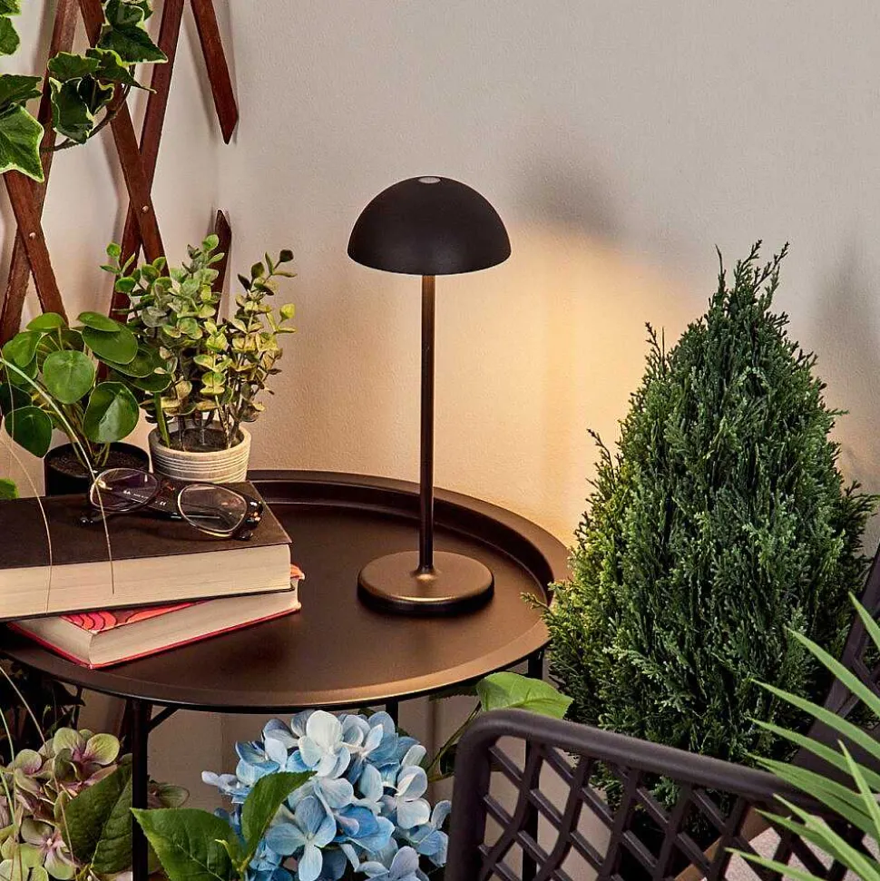 Lampe A Poser Pelaro Led Noir, 1 Lumiere