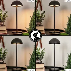 Lampe A Poser Pelaro Led Noir, 1 Lumiere