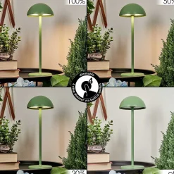 Lampe A Poser Pelaro Led Vert, 1 Lumiere