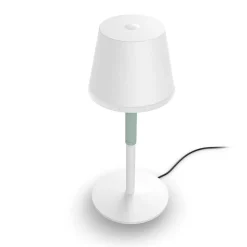 Lampe A Poser Philips Hue Go Led Vert, Blanc, 1 Lumiere, Changeur De Couleurs