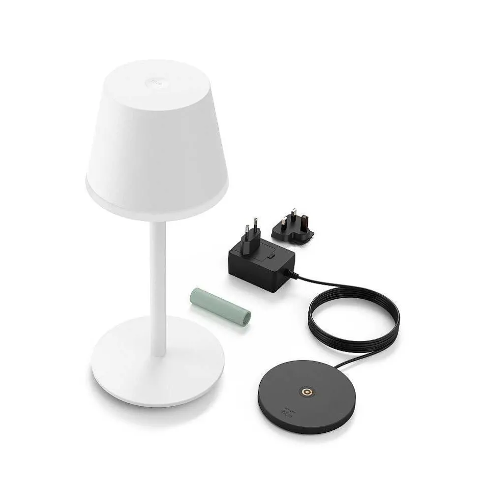 Lampe A Poser Philips Hue Go Led Vert, Blanc, 1 Lumiere, Changeur De Couleurs