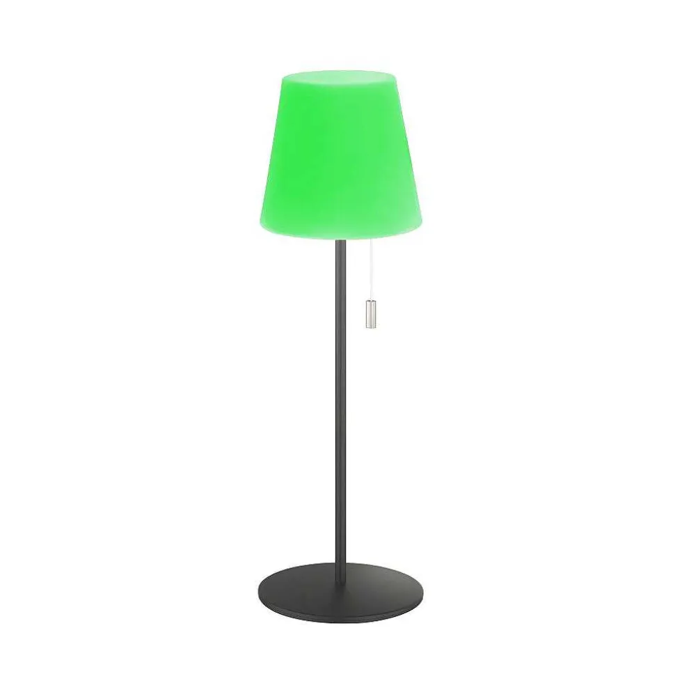 Lampe A Poser Schoner Wohnen-Kollektion Talent Led Anthracite, 1 Lumiere, Telecommandes, Changeur De Couleurs