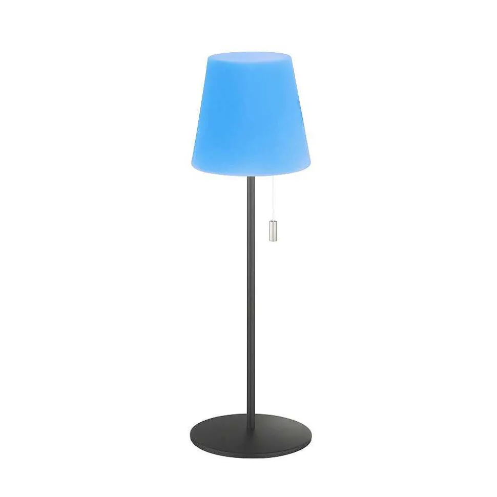 Lampe A Poser Schoner Wohnen-Kollektion Talent Led Anthracite, 1 Lumiere, Telecommandes, Changeur De Couleurs