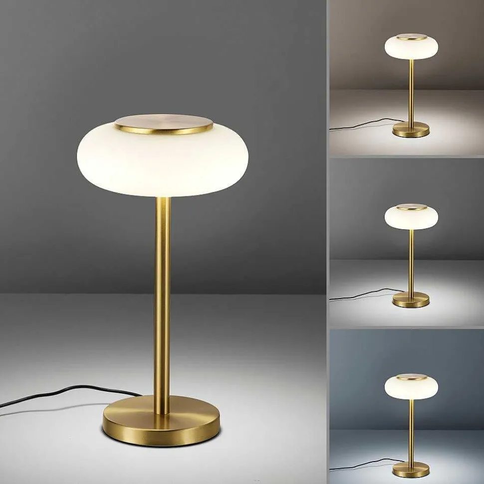 Lampe De Table Paul Neuhaus Q-Etienne Led Laiton, 1 Lumiere, Telecommandes