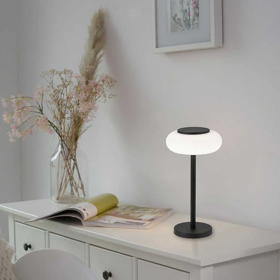 Lampe De Table Paul Neuhaus Q-Etienne Led Noir, 1 Lumiere, Telecommandes