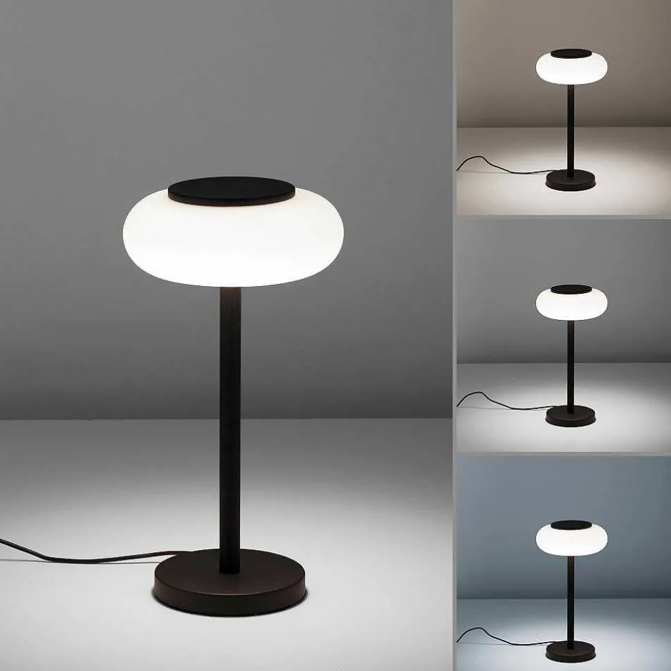 Lampe De Table Paul Neuhaus Q-Etienne Led Noir, 1 Lumiere, Telecommandes