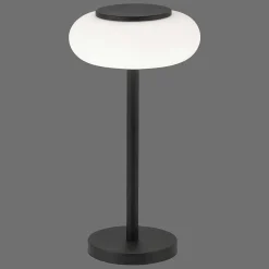 Lampe De Table Paul Neuhaus Q-Etienne Led Noir, 1 Lumiere, Telecommandes