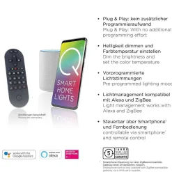 Lampe De Table Paul Neuhaus Q-Etienne Led Noir, 1 Lumiere, Telecommandes