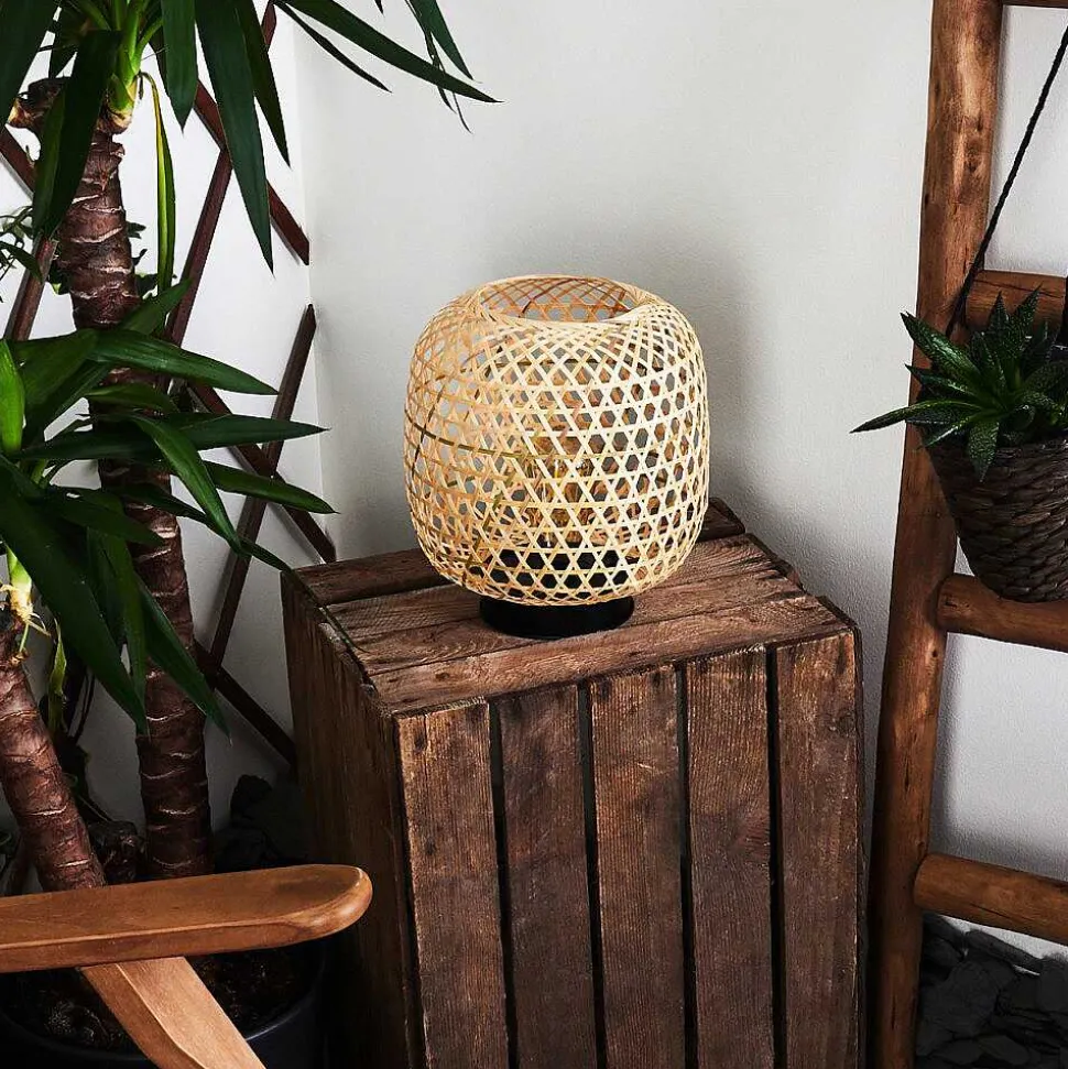 Lampe Solaire Conneaut Led Bois Clair, Noir, 1 Lumiere