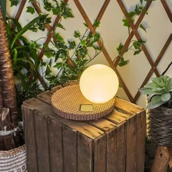 Lampe Solaires Centrache Led Brun, 1 Lumiere