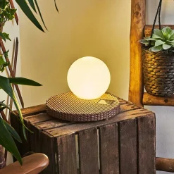 Lampe Solaires Centrache Led Brun, 1 Lumiere