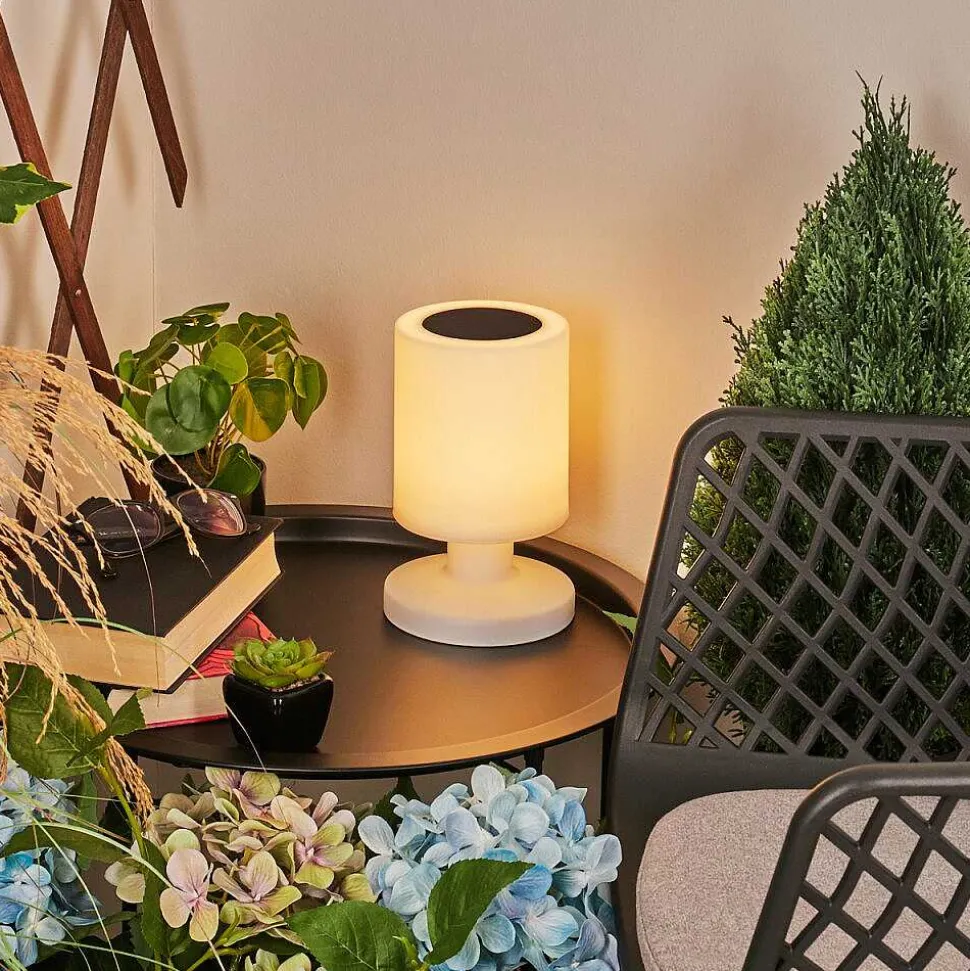 Lampe Solaires Pontaut Led Blanc, 1 Lumiere