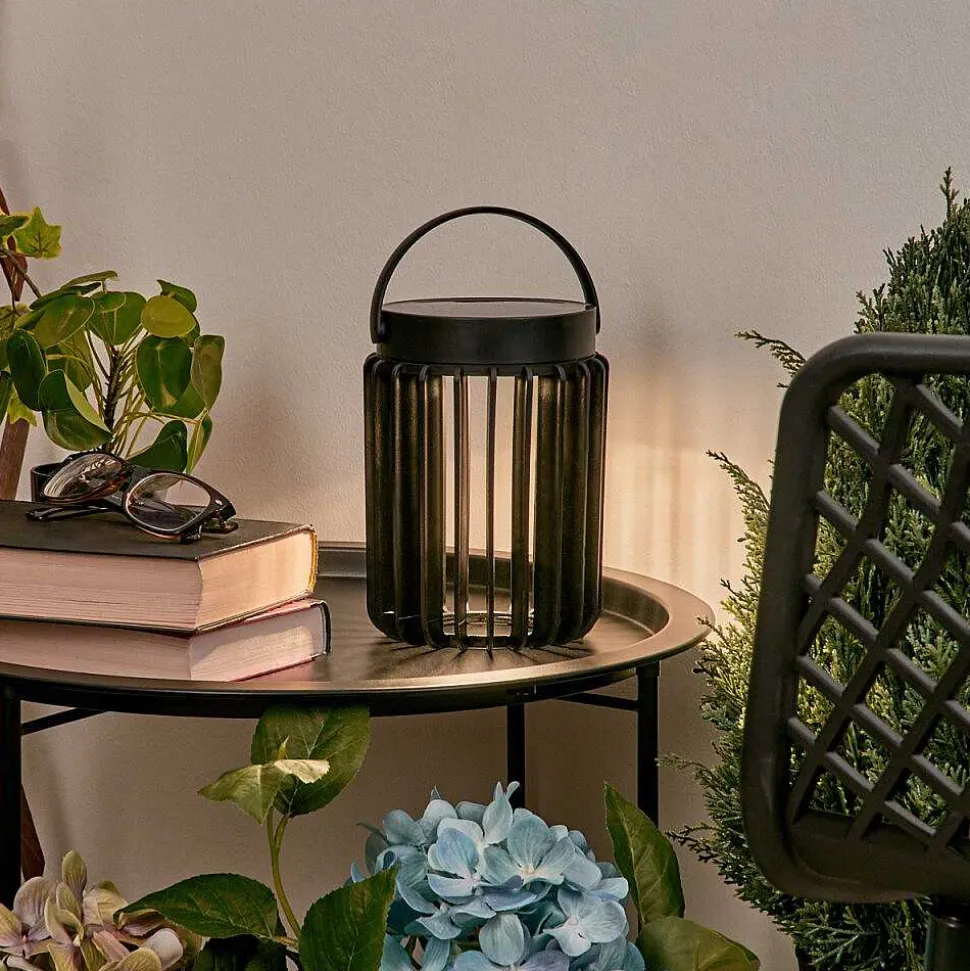 Lampe Solaires Rossina Led Noir, 1 Lumiere