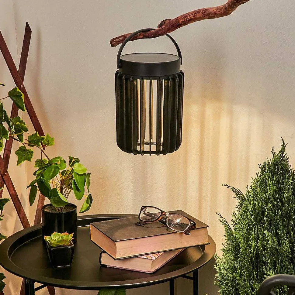 Lampe Solaires Rossina Led Noir, 1 Lumiere