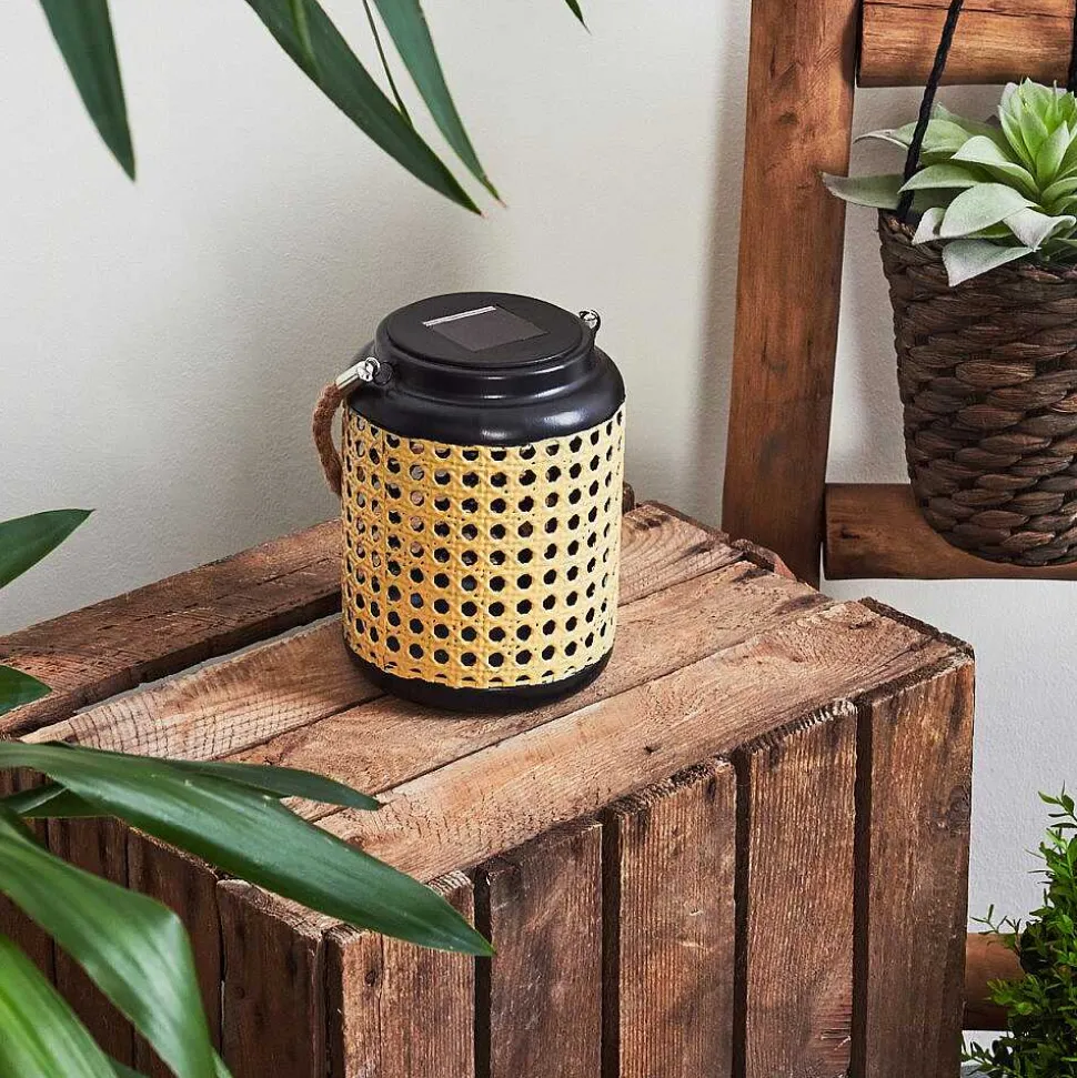 Lampe Solaires Sessivi Led Brun, Noir, 1 Lumiere