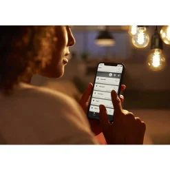 Led White Filament St64 E27 7 Watt 2100 Kelvin 600 Lumen Philips Hue