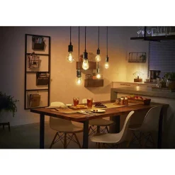 Led White Filament St64 E27 7 Watt 2100 Kelvin 600 Lumen Philips Hue