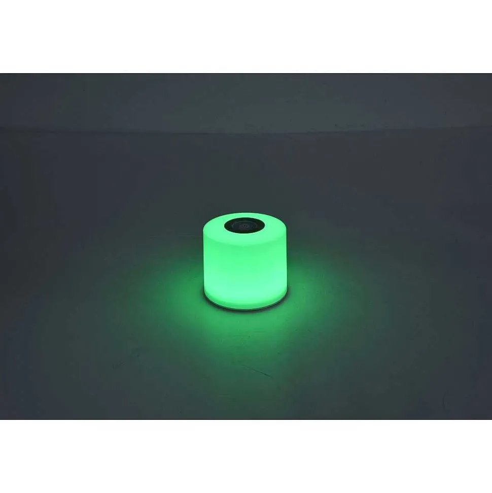 Lot De 2 Lampes Solaires Lutec Noma Led Blanc, 2 Lumieres, Changeur De Couleurs