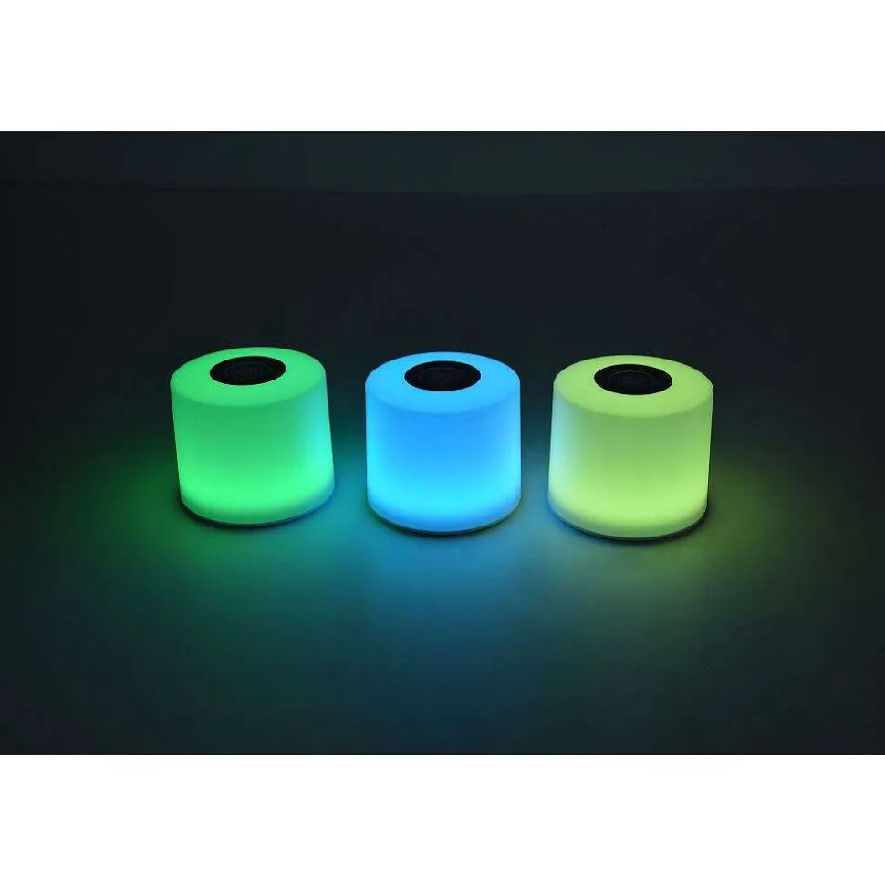 Lot De 2 Lampes Solaires Lutec Noma Led Blanc, 2 Lumieres, Changeur De Couleurs