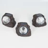 Lot De 3 Lampes Solaires Sameo Led Brun, 4 Lumieres