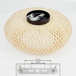 Plafonnier Alavi Noir, 1 Lumiere