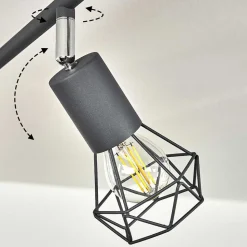 Plafonnier Baripada Anthracite, Chrome, 6 Lumieres