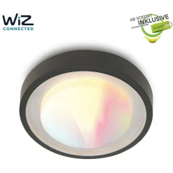 Plafonnier D'Exterieur Lutec Origo Led Anthracite, 1 Lumiere, Changeur De Couleurs