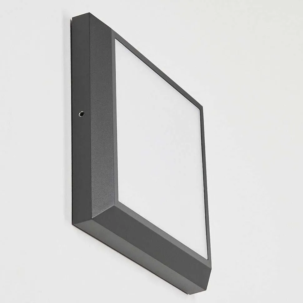 Plafonnier Exterieur Alkmaar Led Anthracite, 1 Lumiere