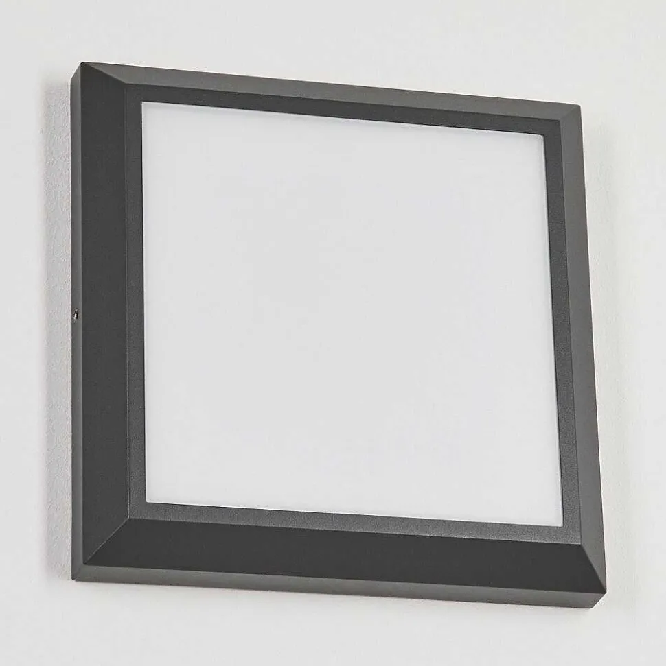 Plafonnier Exterieur Alkmaar Led Anthracite, 1 Lumiere