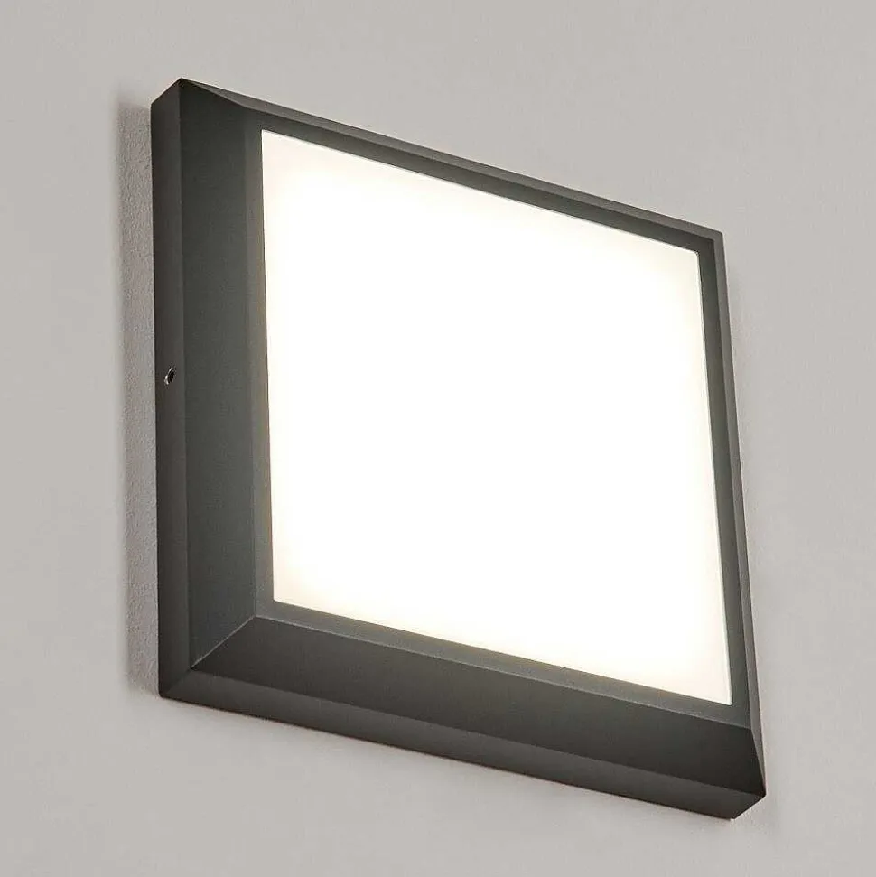 Plafonnier Exterieur Alkmaar Led Anthracite, 1 Lumiere