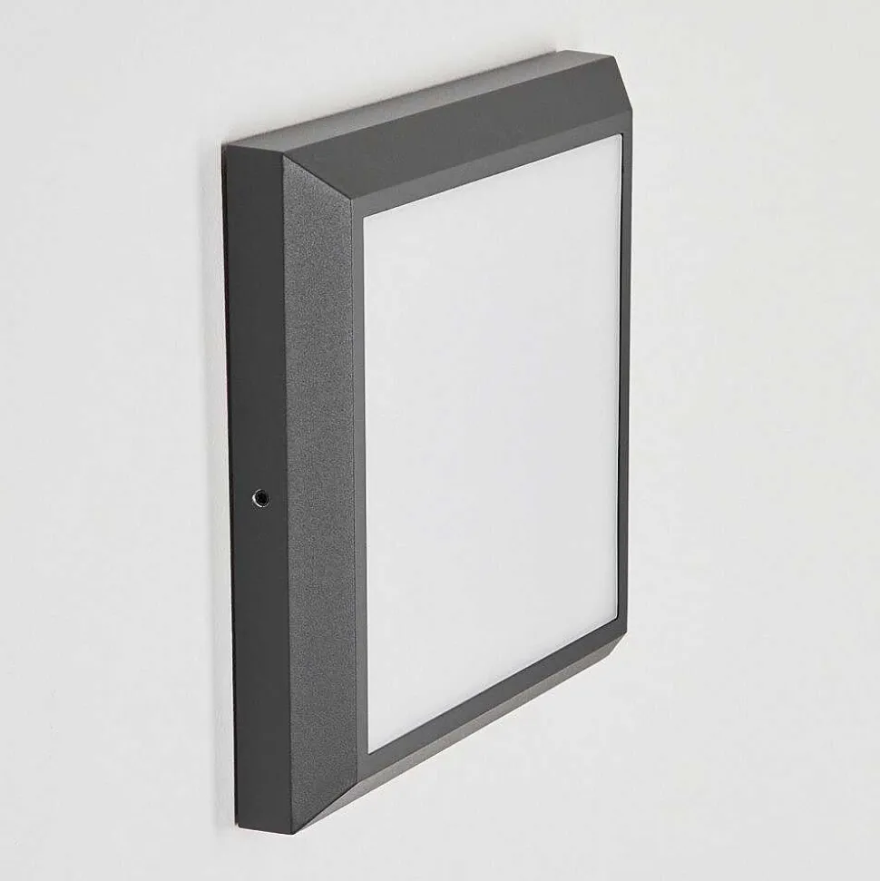Plafonnier Exterieur Alkmaar Led Anthracite, 1 Lumiere