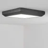 Plafonnier Exterieur Alkmaar Led Anthracite, 1 Lumiere