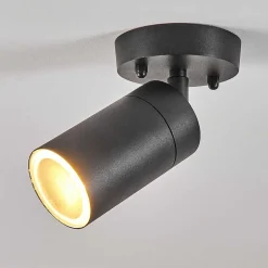 Plafonnier Exterieur Bessiebelle Noir, Blanc, 1 Lumiere