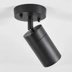 Plafonnier Exterieur Bessiebelle Noir, Blanc, 1 Lumiere