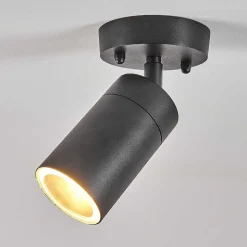 Plafonnier Exterieur Bessiebelle Noir, Blanc, 1 Lumiere