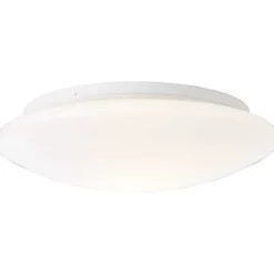 Plafonnier Exterieur Brilliant Farly Blanc, 1 Lumiere