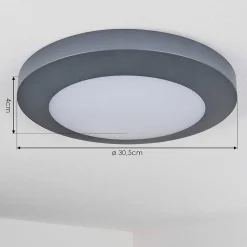 Plafonnier Exterieur Durivier Led Anthracite, 1 Lumiere