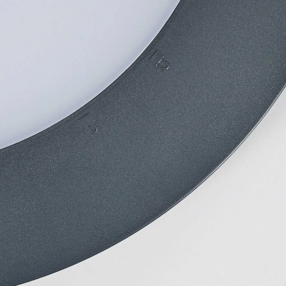 Plafonnier Exterieur Durivier Led Anthracite, 1 Lumiere