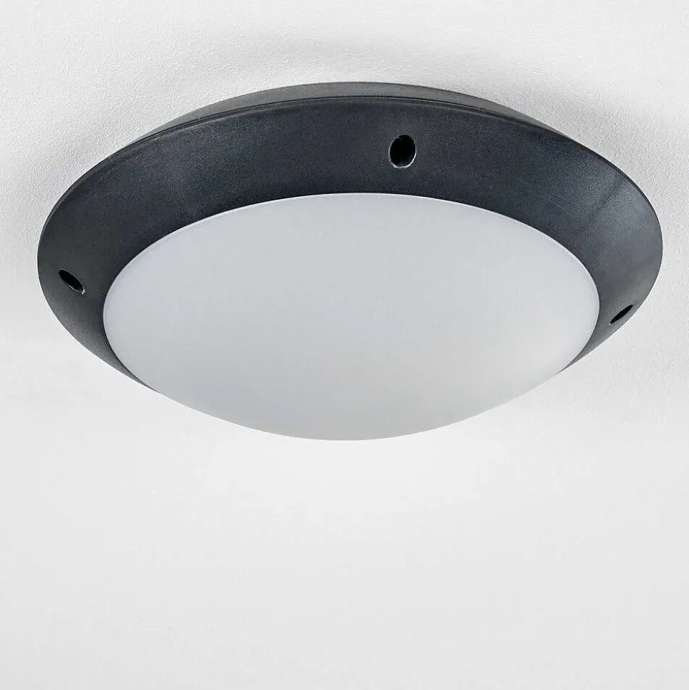 Plafonnier Exterieur Grafton Anthracite, 1 Lumiere