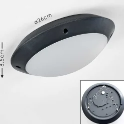 Plafonnier Exterieur Grafton Anthracite, 1 Lumiere