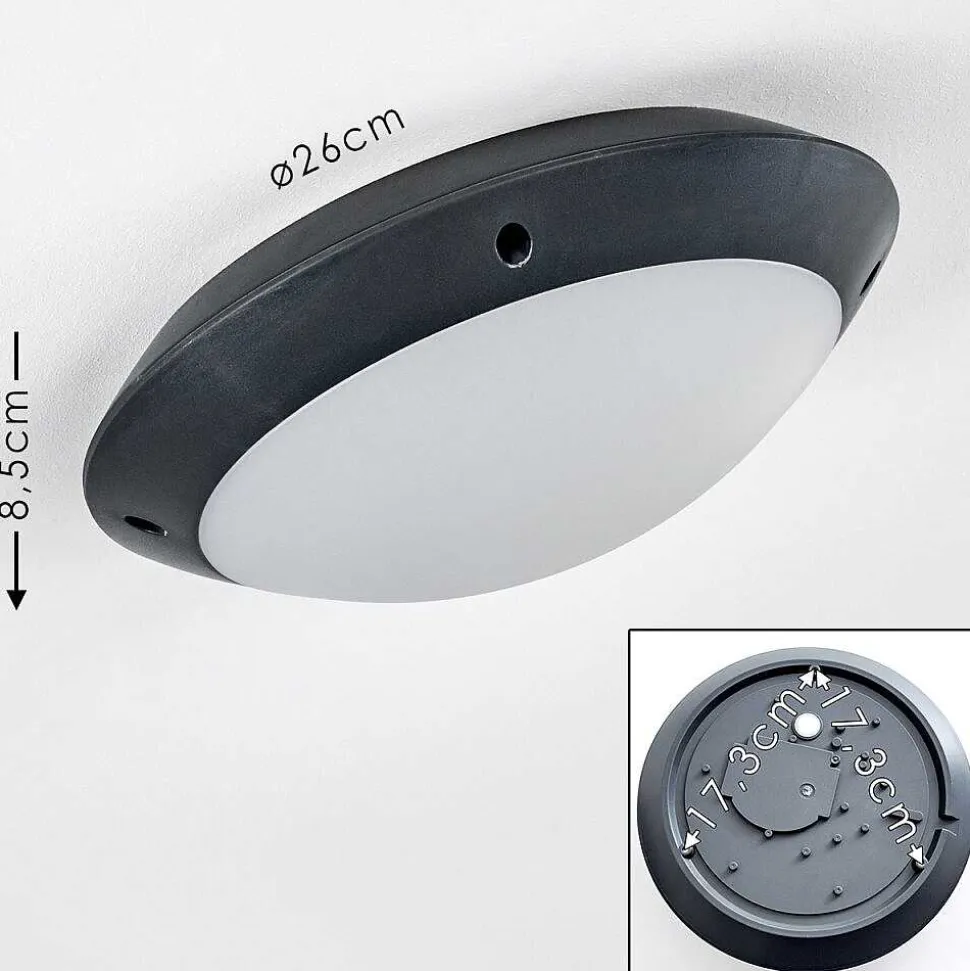 Plafonnier Exterieur Grafton Anthracite, 1 Lumiere