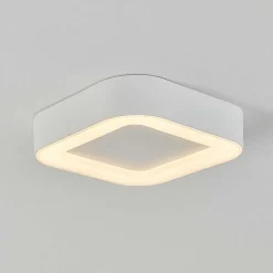 Plafonnier Exterieur Paleroo Led Blanc, 1 Lumiere