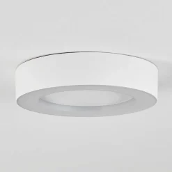 Plafonnier Exterieur Paleroo Led Blanc, 1 Lumiere